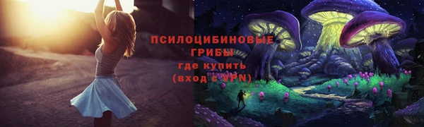 а пвп мука Алзамай