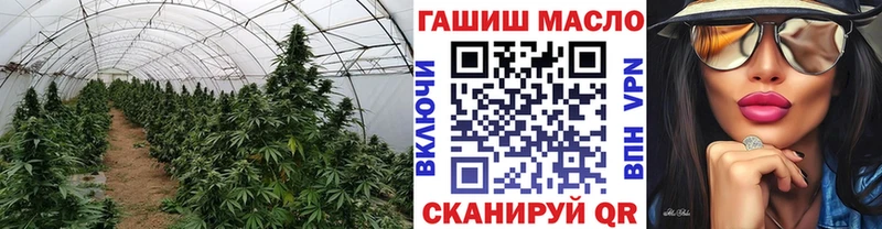 Дистиллят ТГК THC oil  купить  сайты  Чебаркуль 