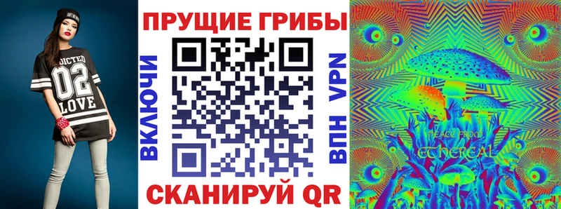 купить наркоту  Чебаркуль  Псилоцибиновые грибы мицелий 